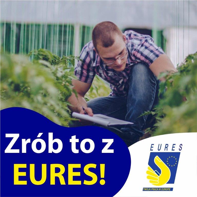 Zdjęcie artykułu Bezpieczna praca za granicą – co warto wiedzieć?