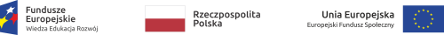 logotypy UE i POWER