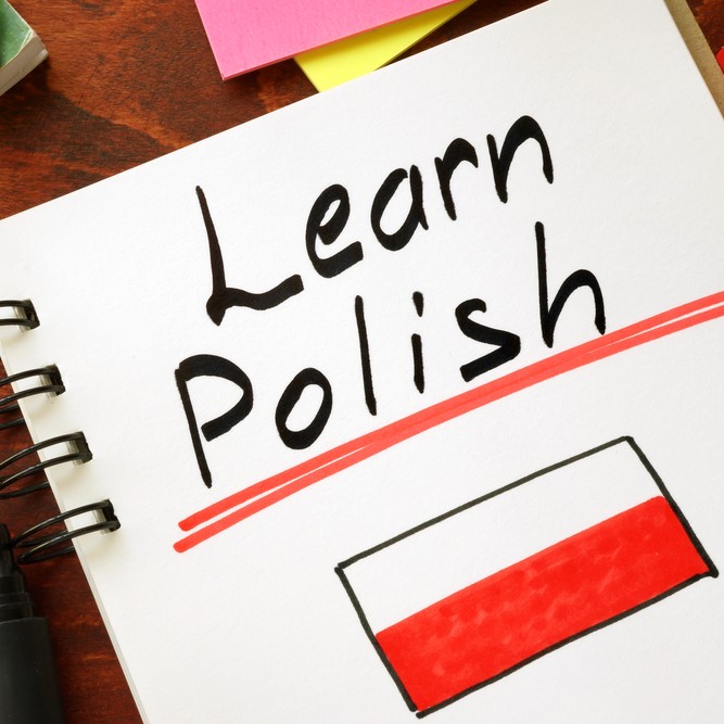 Obrazek dla: Podstawy języka  polskiego w kilka dni - bezpłatnie