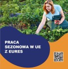 Zdjęcie artykułu Oferta pracy sezonowej - pracownik leśny w Szwecji